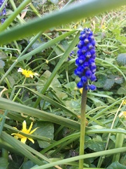 Any Witches Here? Part 11