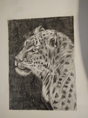 Westministenders: The Virus