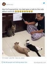 AIBU to ask for your favourite isolation memes?