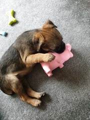 The 'Positive Mental Health' Corona virus thread Part II