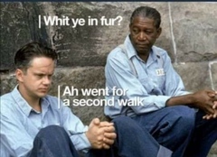 AIBU to ask for your favourite isolation memes?