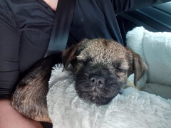 The 'Positive Mental Health' Corona virus thread Part II