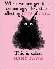 Positive thinking, silliness, cat, horse, dog, music, art what ever photos etc.