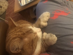 I suppose he’s mine then?