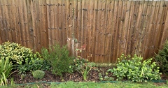 Slightly clueless gardeners!