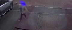 Would you find this rude? (Open plan driveway)