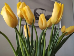 Les Parisiennes des Mamansnet: Ce n'est pas bon de faire du lèche-vitrines avec de l'argent en poche