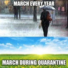 AIBU to ask for your favourite isolation memes?