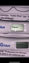 6 positive tests but negative blood work