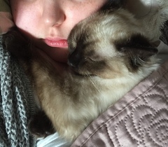 Show me your favourite thing in your house