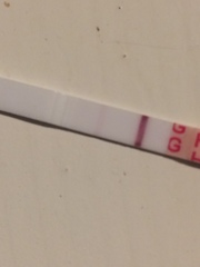 In shock- BFP???