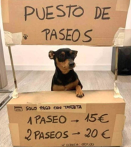 AIBU to ask for your favourite isolation memes?