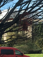 Whilst the world is going to shit (lighthearted)..