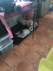 What are you doing today? Tell me about you 'interesting' lives