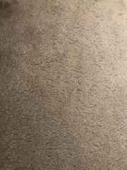 Is this much wear on a carpet normal? *pics*