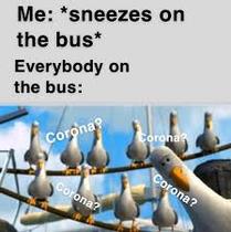 The hopefully amusing pics/memes thread