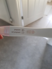 First month of ttc