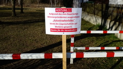 Low death rate in Germany