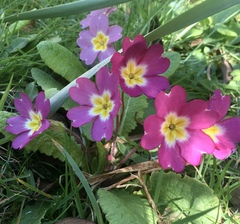 Any Witches Here? Part 11