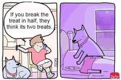 The hopefully amusing pics/memes thread