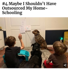 AIBU to ask for your favourite isolation memes?