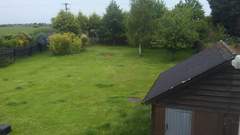 Any help with my garden?