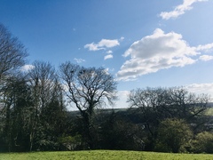 Any Witches Here? Part 11