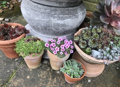 Les Parisiennes des Mamansnet: Ce n'est pas bon de faire du lèche-vitrines avec de l'argent en poche