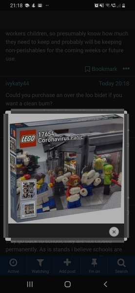 An outbreak of Covid-19 has occurred for the Playmobil people in our house...