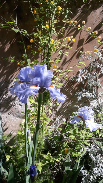 Westminstenders: No pubs till Christmas?