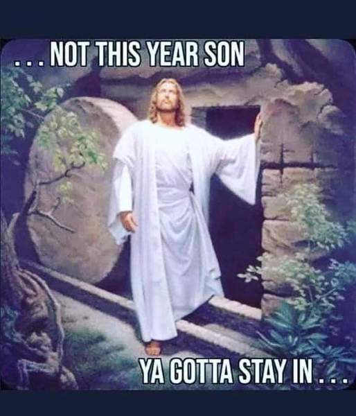 AIBU to ask for your favourite isolation memes?