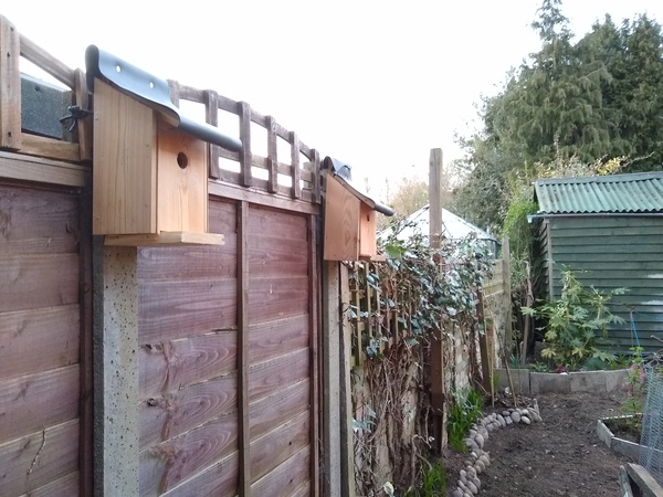 2020 new Gardeners’  thread