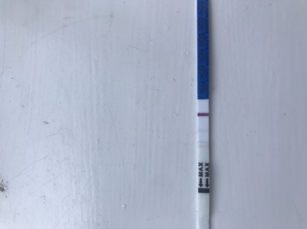 Catching up - ttc after miscarriage part 2