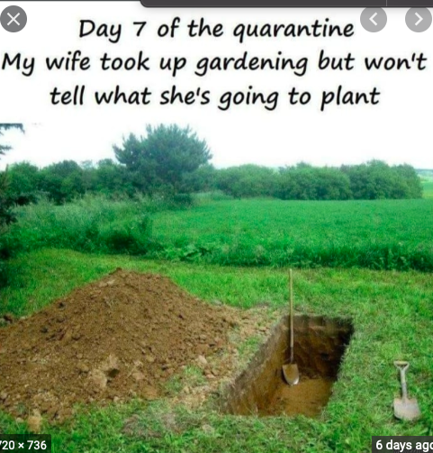 DH has very kindly dug his own grave.