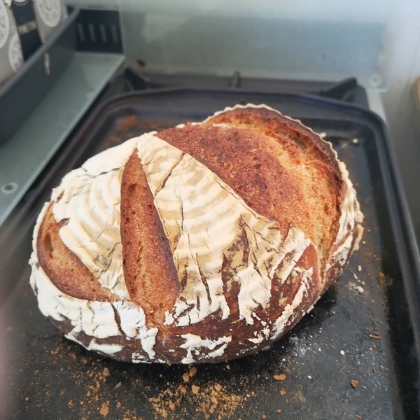 Calling sourdough starter experts!