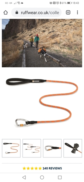 Collar/lead suggestions