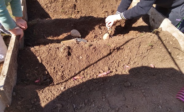 2020 new Gardeners’  thread