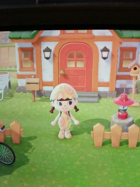 Animal Crossing- New Horizons