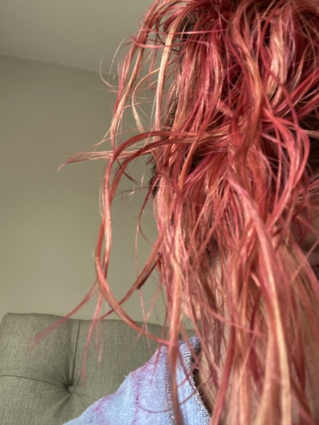 April Amigos Accounting Achievements and Adaptability