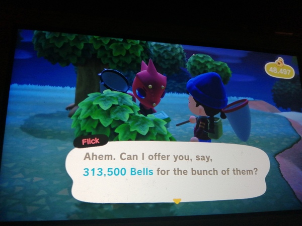 Animal Crossing- New Horizons