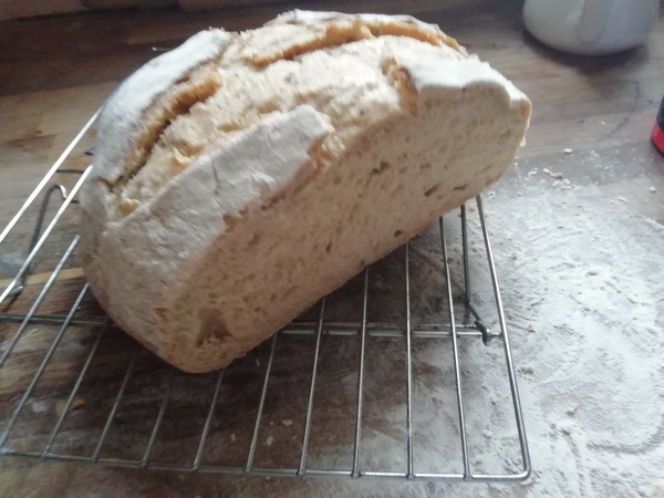 Calling sourdough starter experts!