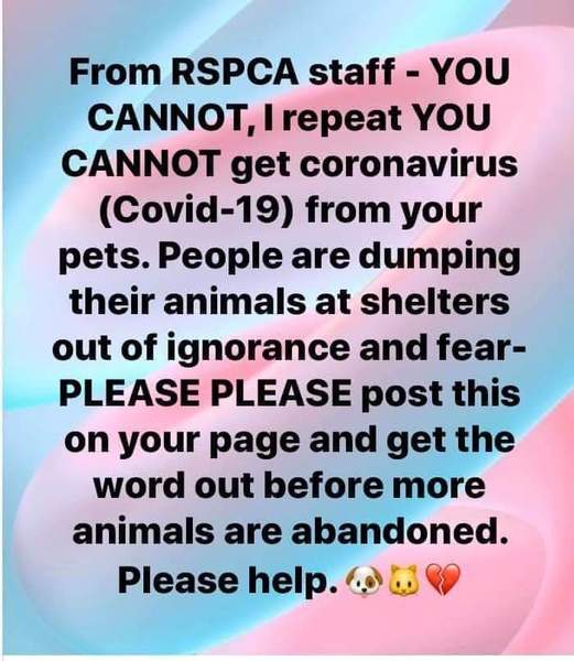Dog owners very irresponsible letting them of leafs on walks knowing they too can spread covid19?