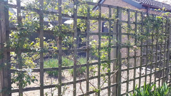 Show me your chicken coops
