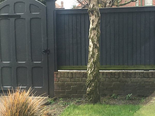 Fence turning green! (Pic)