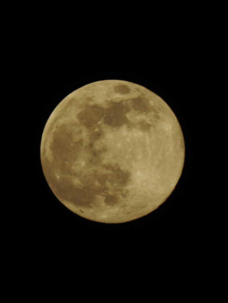 Anyone excited about he big full moon tonight?