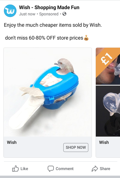 I think it’s time for another wtf is this Wish thread