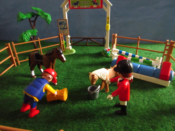 An outbreak of Covid-19 has occurred for the Playmobil people in our house...