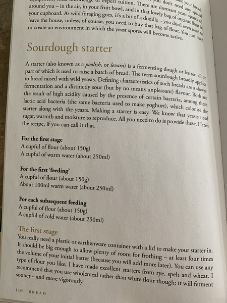 Calling sourdough starter experts!