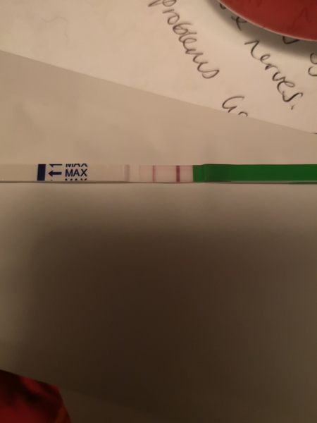 Ovulation test strips