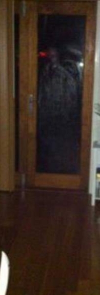 Ghost in house